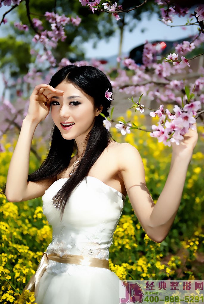 爱贝芙价格的决定因素有哪些?