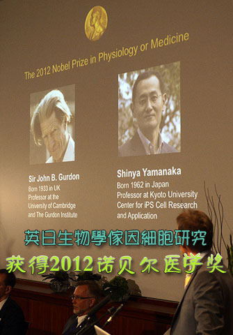 英日生物學(xué)家因細(xì)胞研究獲得2012諾貝爾醫(yī)學(xué)獎