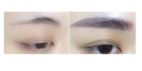 汕尾繡眉價(jià)格