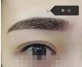 普洱紋眉11月全身價(jià)格上線了 1500-4000元/例