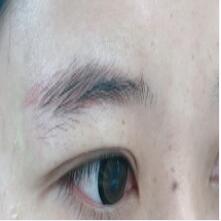 平?jīng)黾y眉12月報價1300-4200元/例