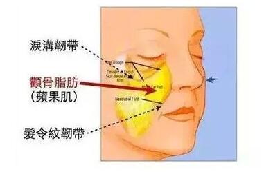 宝宝的苹果肌呢?这就告诉你,怎么获得苹果肌!