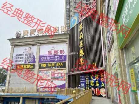 澧县澧美医疗美容有限公司