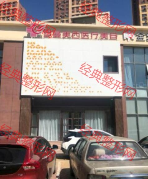 沈阳和平罗曼美西医疗美容诊所有限公司