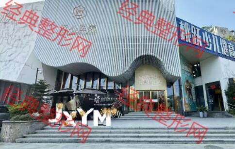 东莞匠心医疗美容门诊部