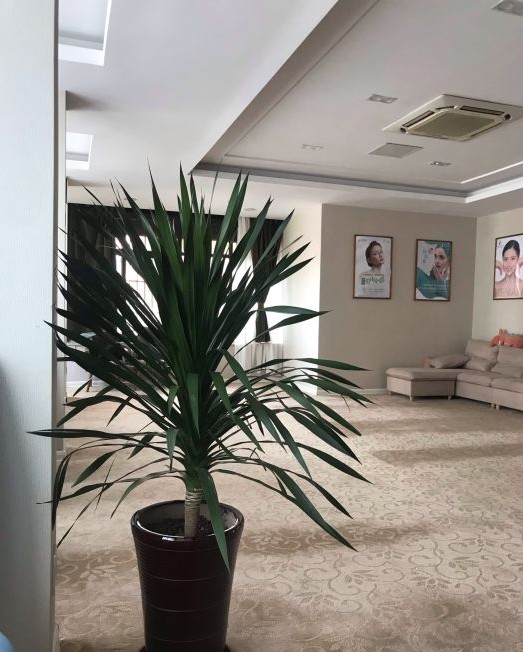 大廳