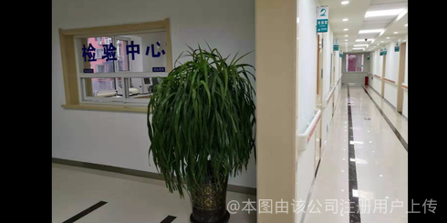 走廊
