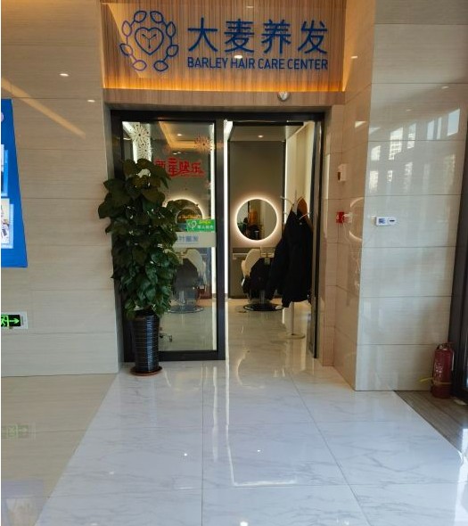 入口