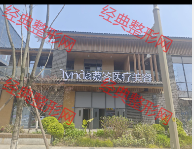 外觀
