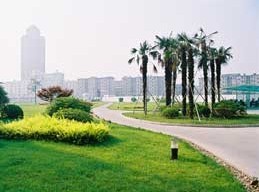 大楼1