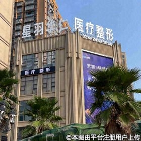 外觀