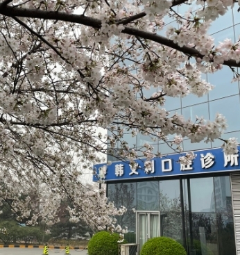 外觀(guān)