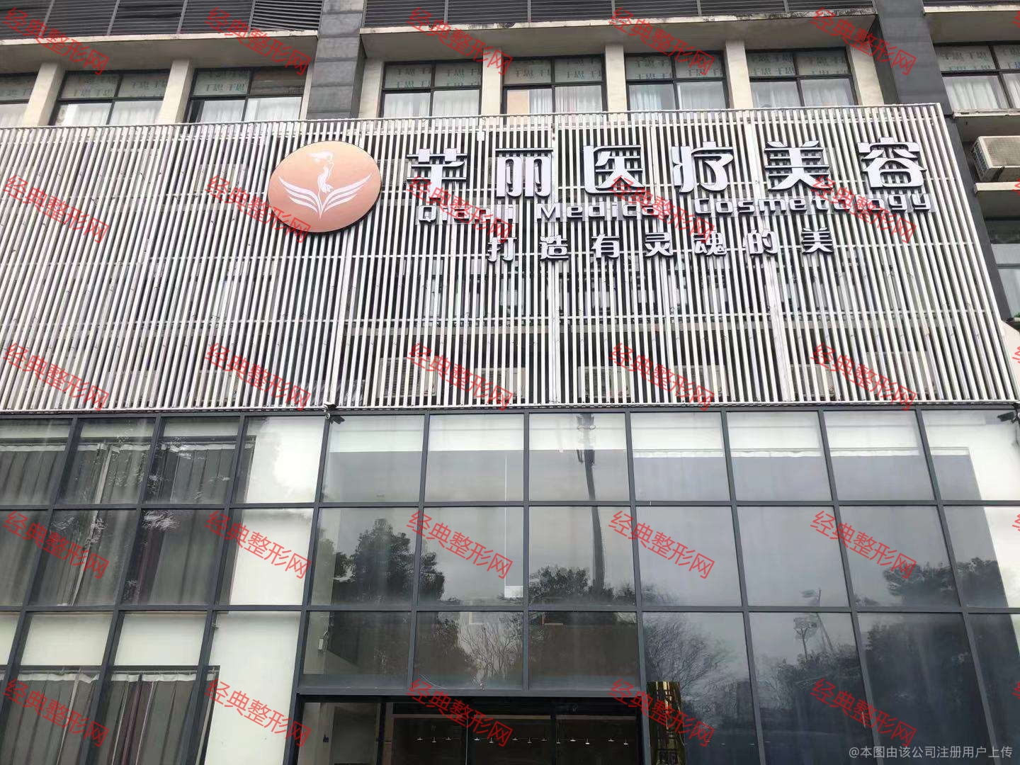 外觀