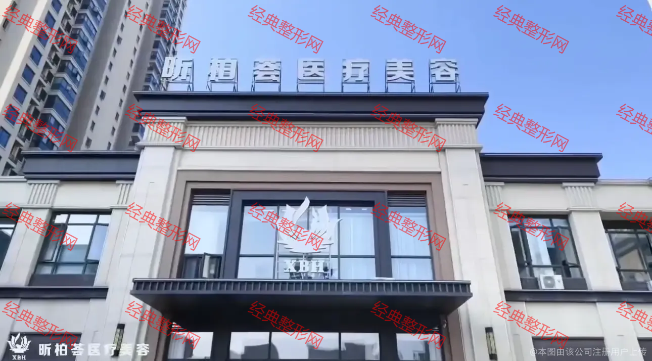 外觀