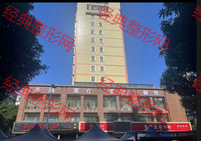 外觀