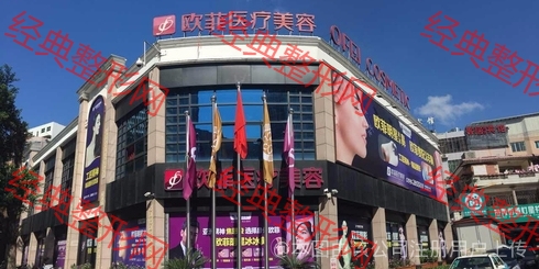 外觀