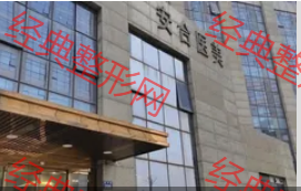 外觀