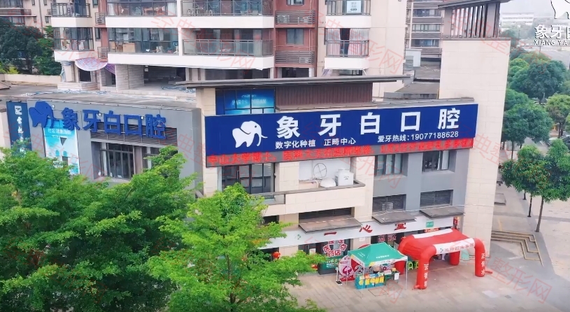 外觀