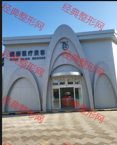 外觀