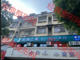 外觀
