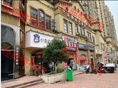 外觀