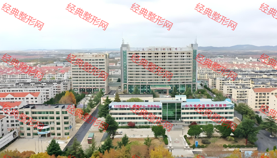 外觀