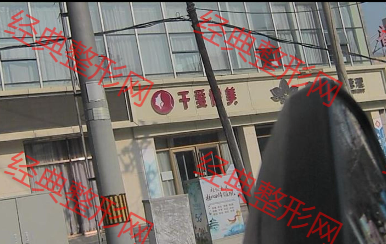 外觀