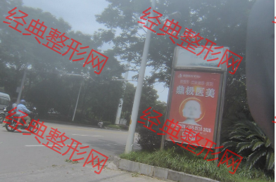 外觀