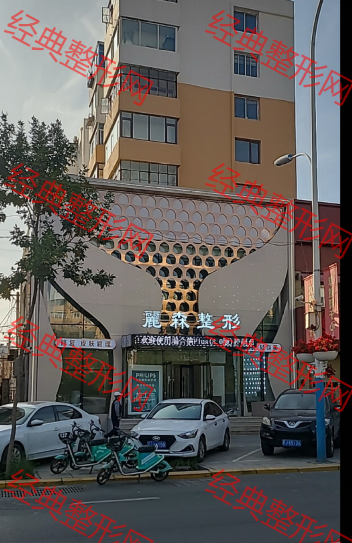 外觀