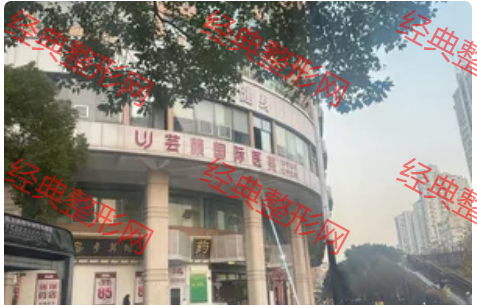 外觀