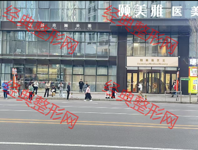 外觀