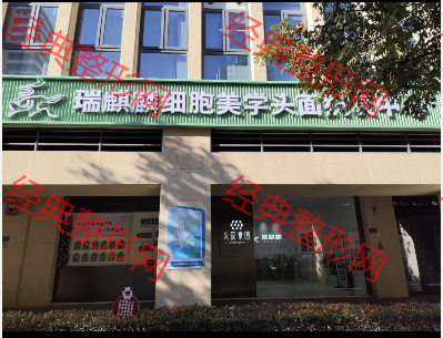外觀