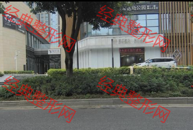 外觀