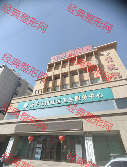 外觀