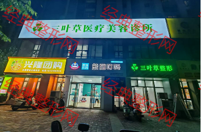 外觀