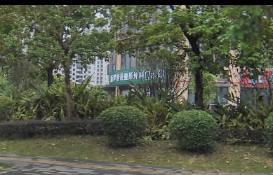 龍巖巖匠整形外科門診部